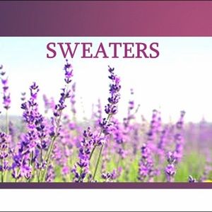 Sweaters and Sweatshirts